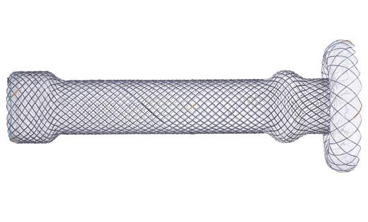 CITEC™Cardia parasol zamykajcy przetok stent/CITEC™ Cardia Umbrella Fistula Stent